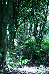  - Landed (Freeman's Wood)
